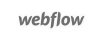 webflow-partner (1)